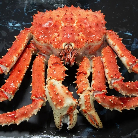 Cua Hoàng Đế Nauy Đỏ (Size 4-5kg)