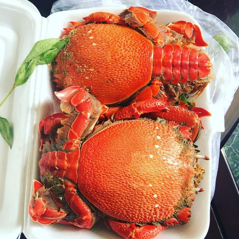 Cua huỳnh Đế Alaska size VIP