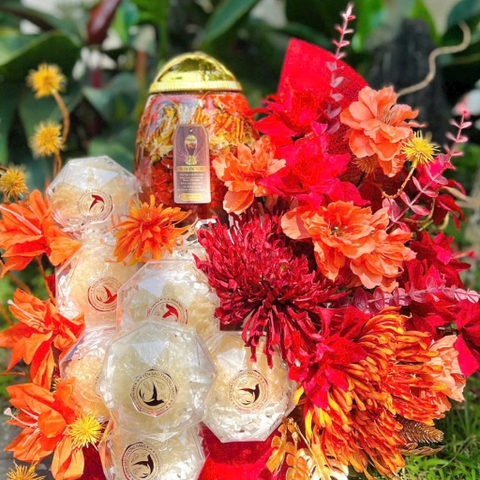 Set Hộp quà Yến Sào tinh chế xuất khẩu 500g + Đông trùng hạ thảo, Hồng Yến sào tinh chế đặc biệt, giỏ quà tết, gio quà tết, quà tặng, quà tết, quà tặng sếp, quà tặng cao cấp, quà tặng vip