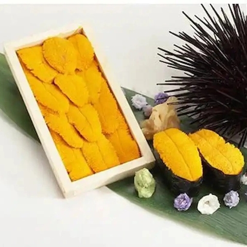 Trứng Cầu Gai Nhật Size VIP- Thịt Cầu Gai - Nhum biển Uni Nhật