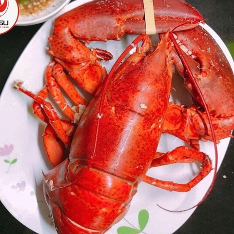 Đặt Tôm Hùm Hấp Sẵn tại nhà