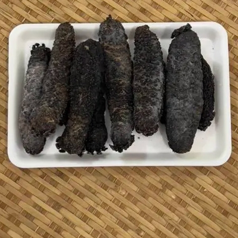 Hải Sâm Gai Vàng Size 15-20 Con/Kg