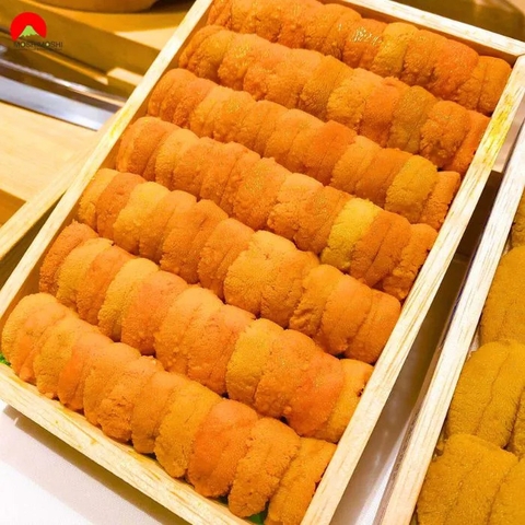 Thịt Cầu Gai Nhật loại 1, thịt cầu gai Nhật, giá nhum biển 7tr530, Nhum biển Uni, nhum biên nhật, nhum biển uni, thịt cầu gai, thịt cầu gai nhật, nhum biển Nhật loại 1,