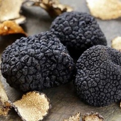 Nấm Truffle Mùa Đông Périgord Pháp, Nấm Cục Đen Tươi, giá nấm truffle hôm nay, mua nấm truffle, bán nấm truffle, nấm truffle mùa hạ