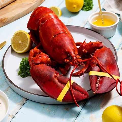 Tôm Hùm Alaska Size 3-4kg/con Loại VIP