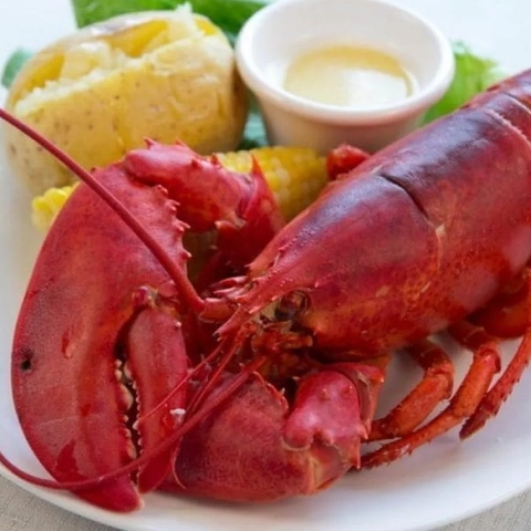 Tôm Hùm Alaska Size 2-3kg/con Loại VIP