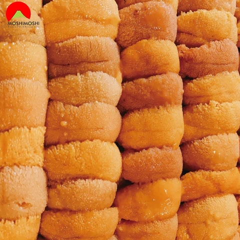 Cầu Gai Nhật - Uni Nhật