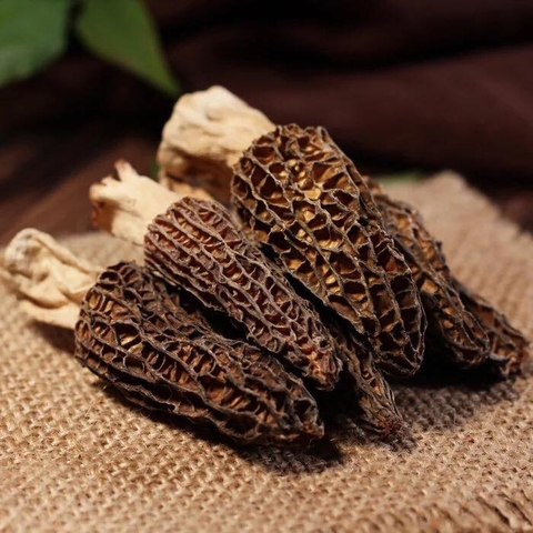 Nấm Bụng Dê Thượng hạng- Plantin