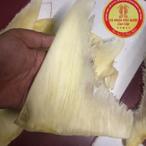 Vi Cá Mập Úc nguyên vi size 5vi/kg - Shark Fin High Quality