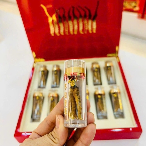 4- Giỏ quà tết- Đông Trùng Hạ Thảo Tây Tạng size 50