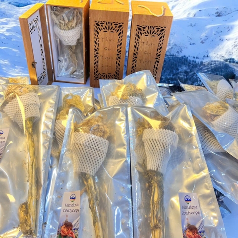 4- Hộp Quà - Hoa Thiên Sơn Tuyết Liên 1000 năm tuổi - 500g