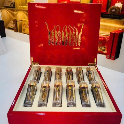 11-Đông Trùng Hạ Thảo Nguyên Con Tây Tạng size 35,quà tăng doanh nghiệp, quà tết, giỏ quà tết, quà tặng vip, set quà tết, quà tặng, quà biếu