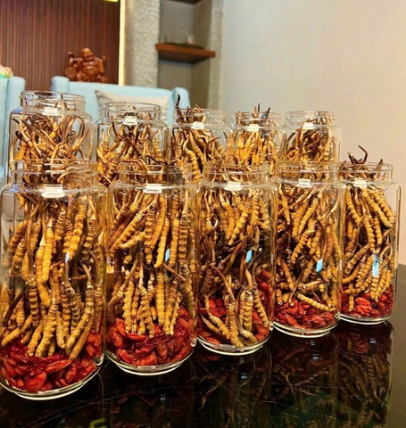 4- Giỏ quà tết- Đông Trùng Hạ Thảo Tây Tạng VIP 50g