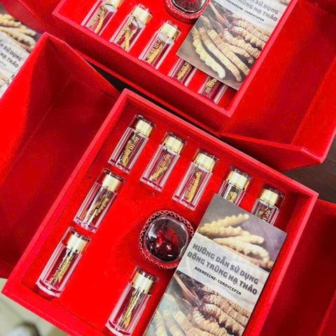 4- Giỏ quà tết- Đông Trùng Hạ Thảo Tây Tạng Nakhuc mắt Đỏ