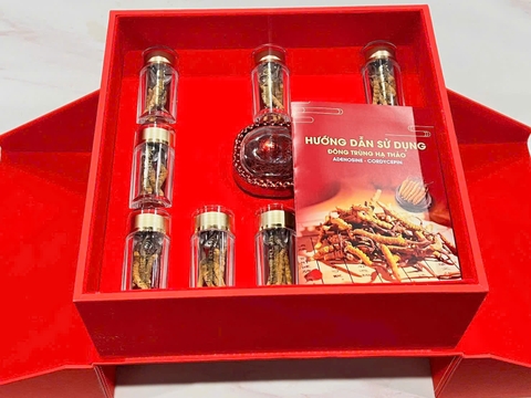 4- Giỏ quà tết- Đông Trùng Hạ Thảo Tây Tạng mắt Đỏ size 50