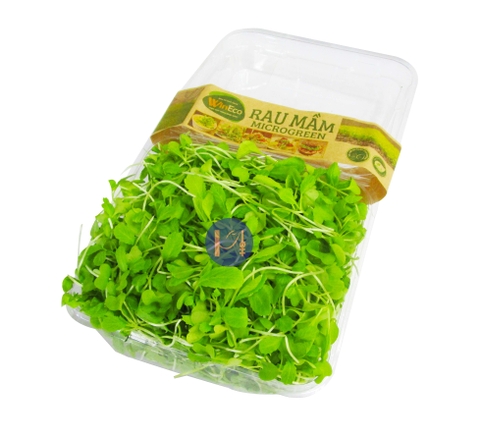 Mustard Sprouts 100g Box