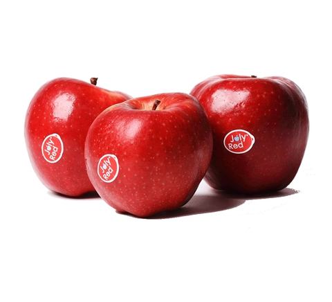 Dutch Joly Red Apples Pack of Six (1.4kg - 1.6kg)