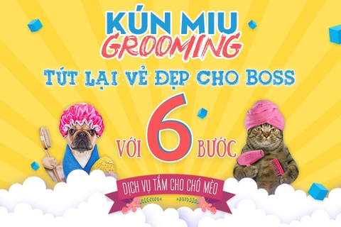 Dịch vụ tắm cho chó mèo chuyên nghiệp nhất Hà Nội