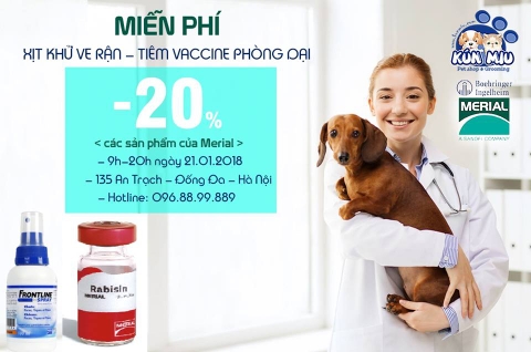 MIỄN PHÍ XỊT KHỬ KÍ SINH TRÙNG, TIÊM VACCINE PHÒNG DẠI CHO PET ( Thời gian: 9h - 20h , chủ nhật ngày 21/01/2018 )