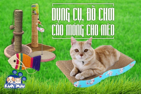 Dụng cụ, Đồ chơi cào móng cho mèo