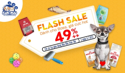 Kún Miu pet shop trên Tiki.vn 💟 Ưu đãi lên tới 49%++