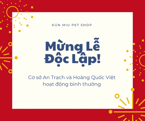 KÚN MIU HÀ NỘI HOẠT ĐỘNG BÌNH THƯỜNG DỊP LỄ 9/2