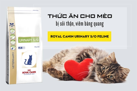 Thức ăn cho mèo Royal Canin Urinary S/O Feline