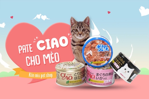 Pate Ciao cho mèo