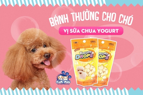 Bánh thưởng cho chó vị sữa chua Yogurt - Hàn Quốc