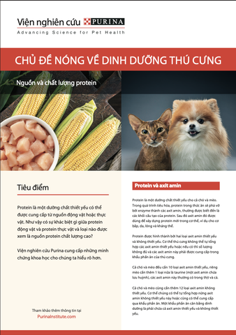 Chủ đề nóng về dinh dưỡng thú cưng