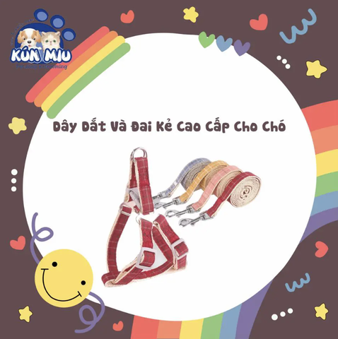 Dây dắt và đai kẻ cao cấp cho chó (màu ngẫu nhiên) 