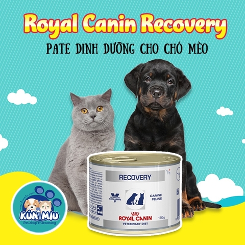 Pate Royal Canin Recovery cho chó mèo