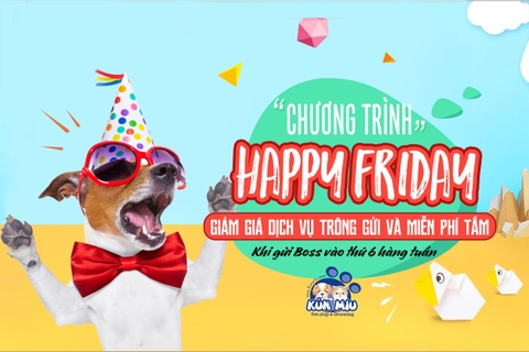 Chương trình giảm giá 15% dịch vụ trông gửi chó mèo trong tháng 6