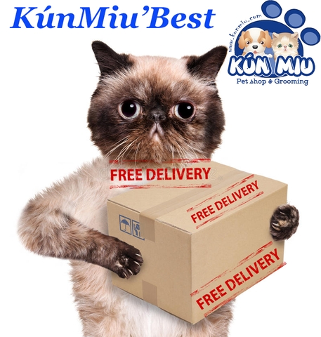 🎁Dịch vụ KúnMiu'Go (https://kunmiu.vn/kunmiu-go) 🎁