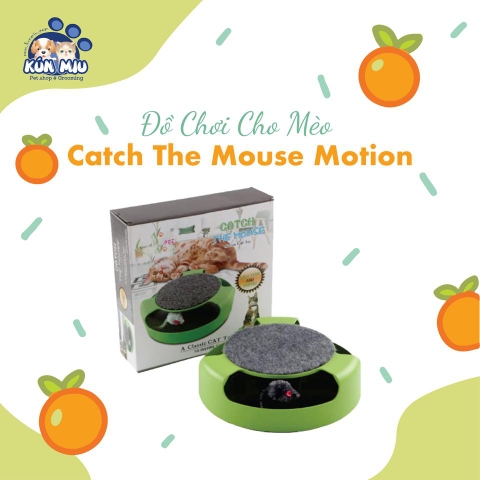 Đồ chơi cho mèo Catch The Mouse Motion