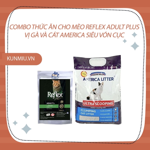 Combo Thức ăn cho mèo trưởng thành Reflex PLUS Adult và cát vệ sinh cho mèo America