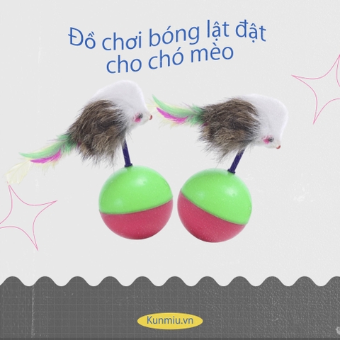 Đồ chơi bóng lật đật cho chó mèo