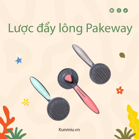 Lược đẩy lông Pakeway T9