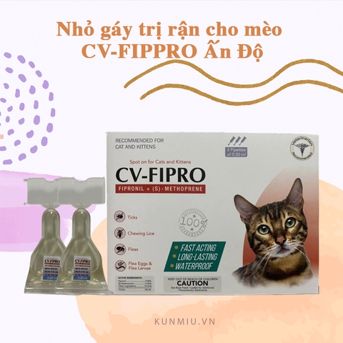 Nhỏ gáy trị rận cho mèo CV-FIPPRO Ấn Độ