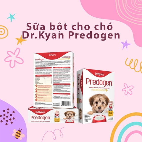 Sữa bột cho chó Dr.Kyan Predogen