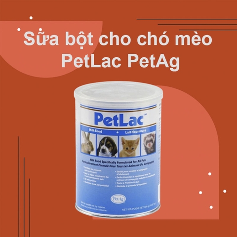 Sữa bột cho chó mèo PetLac PetAg