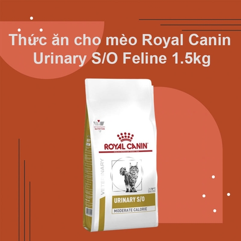 Thức ăn cho mèo Royal Canin Urinary S/O Feline 1.5kg