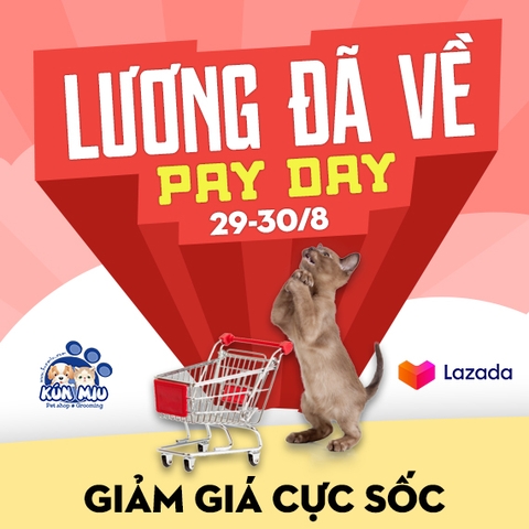 PAY DAY - Kún Miu Sale cực sốc khi lương đã về trên Lazada