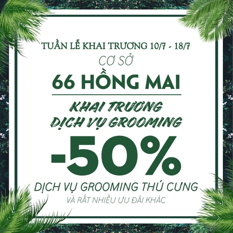 Tưng bừng khai trương cở sở 66 Hồng Mai - HBT với dịch vụ Grooming cho chó mèo