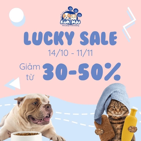 LUCKY SALE