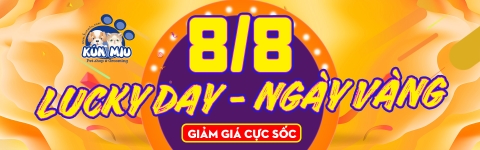 Ngày vàng LUCKY DAY 8/8 trên LAZADA với KÚN MIU nào các Sen ơi