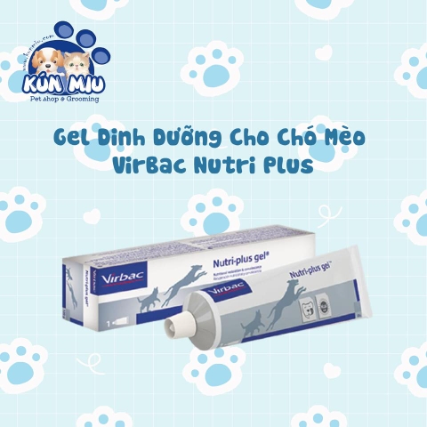 Gel dinh dưỡng cho chó mèo VirBac Nutri Plus