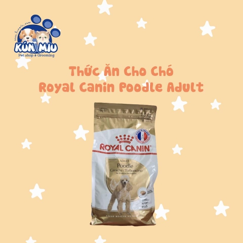 Thức ăn cho chó Royal Canin Poodle Adult