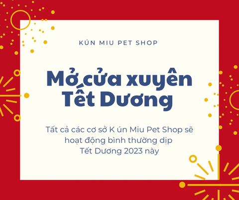 Thông báo mở cửa xuyên Tết Dương lịch