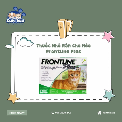Thuốc nhỏ rận cho mèo Frontline Plus